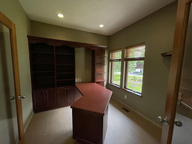 164 Invitational Dr, Gaylord, MI 49735 - unfurnished office with carpet, recessed lighting, and a textured ceiling
