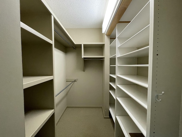 164 Invitational Dr, Gaylord, MI 49735 - walk in closet featuring carpet flooring