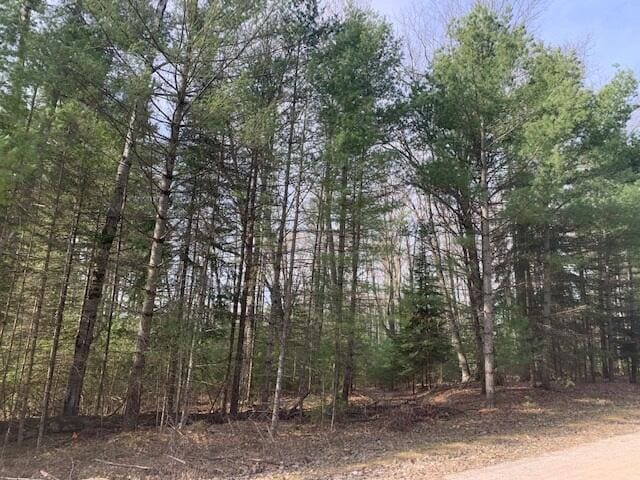 119 Ponderosa Dr, Lachine, MI 49753