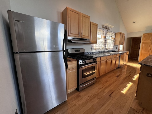 1537 Tecumseh Rd, Cheboygan, MI 49721 - kitchen featuring stainless steel appliances, under cabinet range hood, light wood-style floors, high vaulted ceiling, and a sink