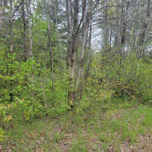 LOT42 E Roberta Dr, Roscommon, MI 48653
