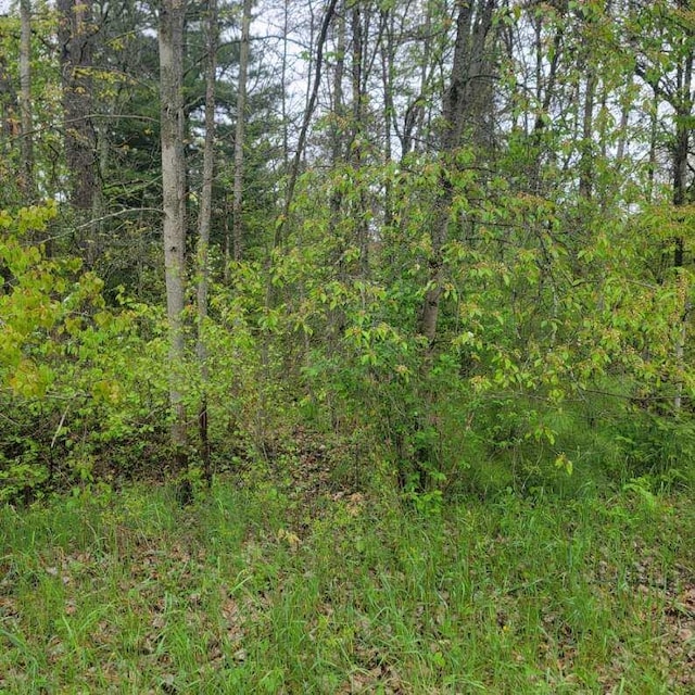 LOT42 E Roberta Dr, Roscommon, MI 48653