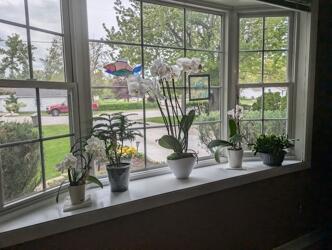 101 Island View Dr, Alpena, MI 49707 - photo 7