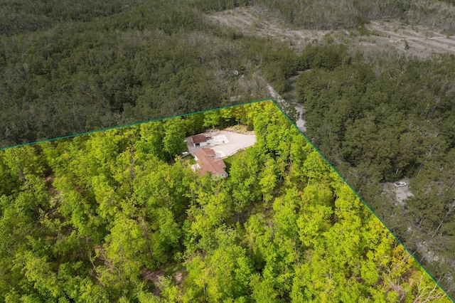 2510 Primrose Rd, Elmira, MI 49730 - aerial view of property's location with a forest and property parcel outlined