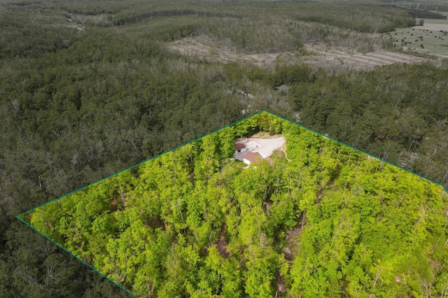 2510 Primrose Rd, Elmira, MI 49730 - view of property location with property parcel outlined and a heavily wooded area