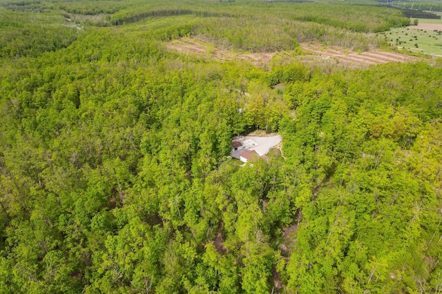 2510 Primrose Rd, Elmira, MI 49730 - drone / aerial view of a heavily wooded area