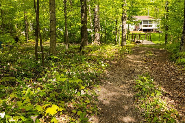 2510 Primrose Rd, Elmira, MI 49730 - view of yard featuring a wooded view
