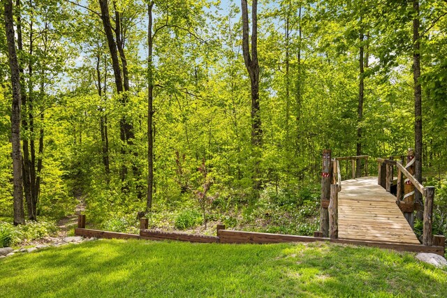 2510 Primrose Rd, Elmira, MI 49730 - view of green lawn featuring a view of trees