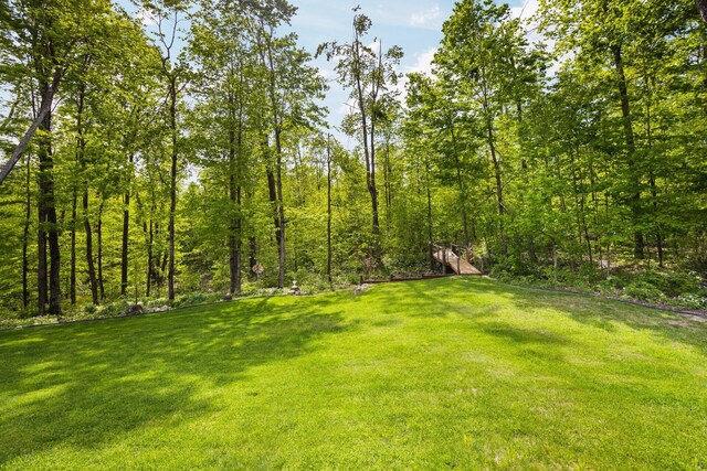 2510 Primrose Rd, Elmira, MI 49730 - view of green lawn