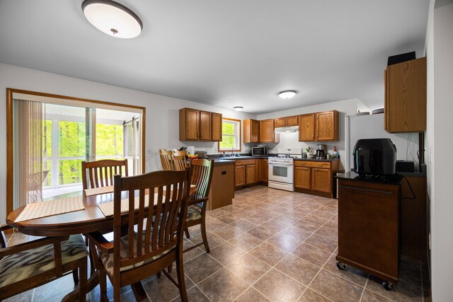 2510 Primrose Rd, Elmira, MI 49730 - kitchen with white range with gas cooktop, dark countertops, brown cabinets, stainless steel microwave, and a sink