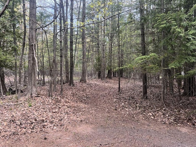 2056 Hobbs Dr, Alpena, MI 49707 - view of tree filled area