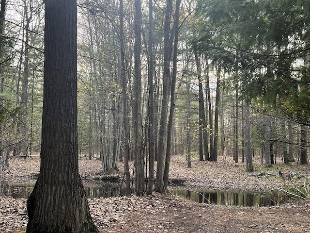 2056 Hobbs Dr, Alpena, MI 49707 - view of tree filled area