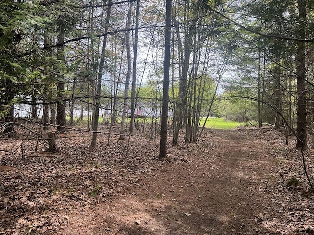 2056 Hobbs Dr, Alpena, MI 49707 - view of nature