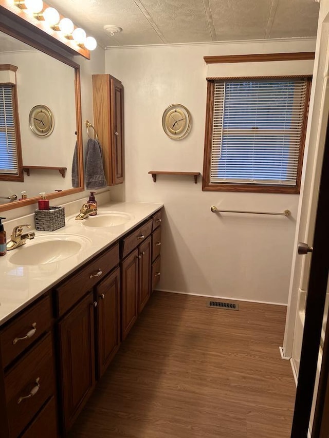 2056 Hobbs Dr, Alpena, MI 49707 - bathroom featuring double vanity and wood finished floors