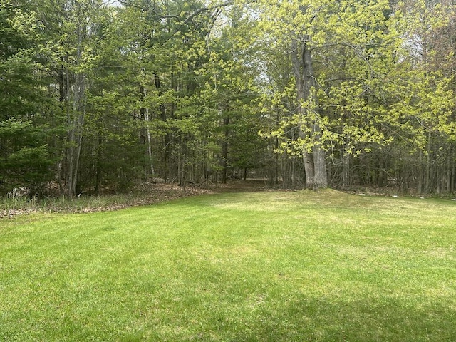 2056 Hobbs Dr, Alpena, MI 49707 - view of green lawn featuring a wooded view