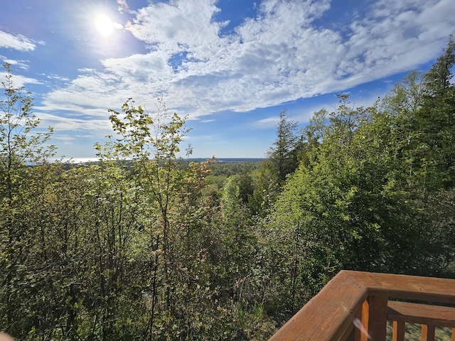 N1746 Smith Rd, Saint Ignace, MI 49781 - view of yard