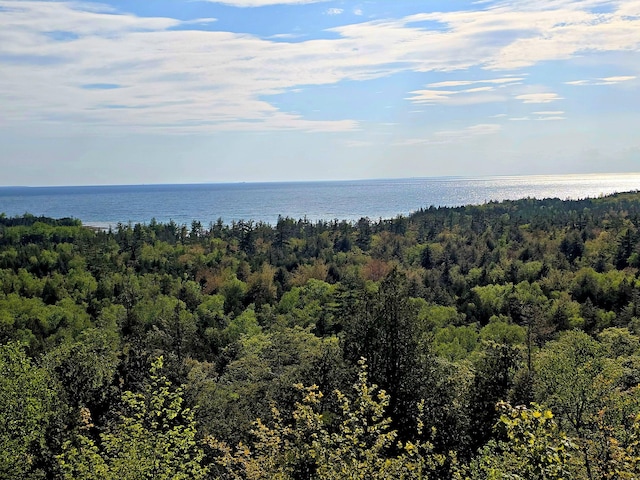 N1746 Smith Rd, Saint Ignace, MI 49781 - water view featuring a heavily wooded area