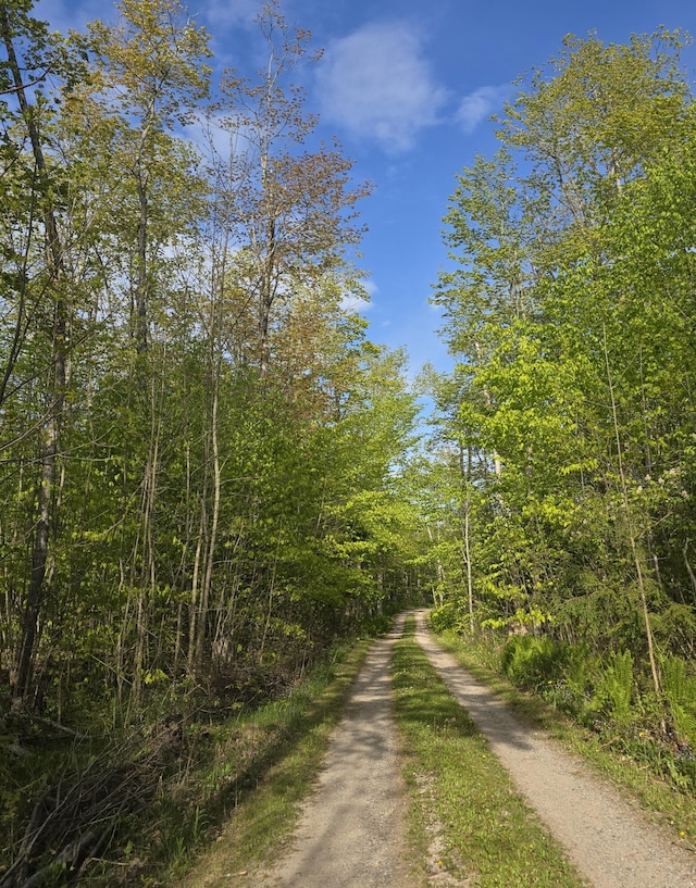 N1746 Smith Rd, Saint Ignace, MI 49781 - view of street with a wooded view