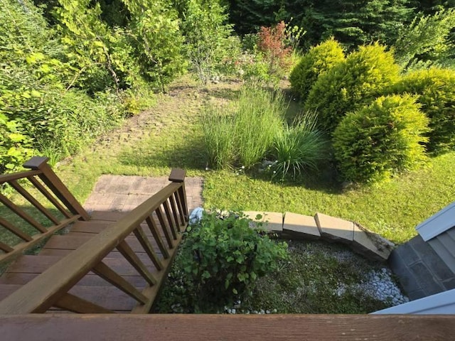 N1746 Smith Rd, Saint Ignace, MI 49781 - view of yard