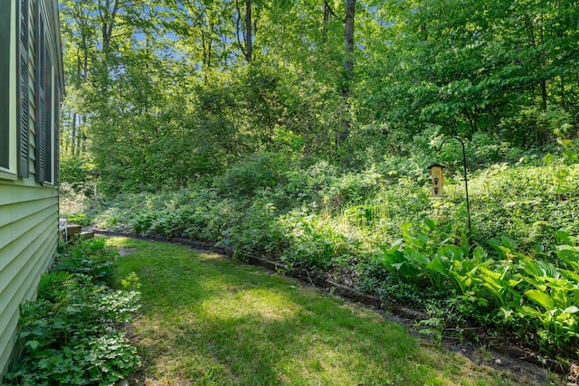 9707 Rogers Rd, Alanson, MI 49706 - view of yard with a garden