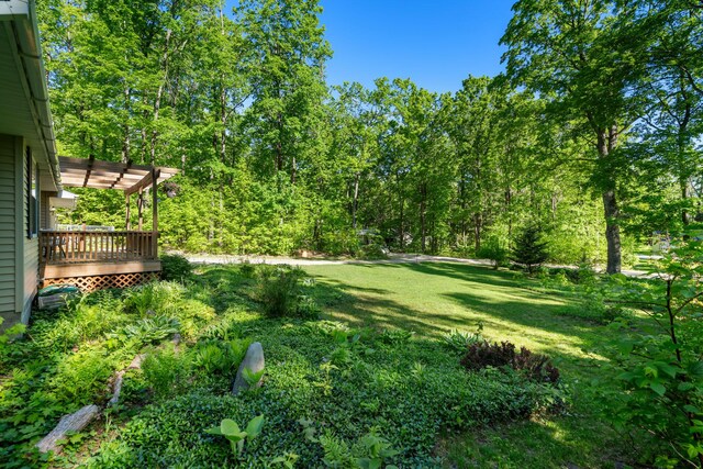 9707 Rogers Rd, Alanson, MI 49706 - view of green lawn featuring a deck and a pergola