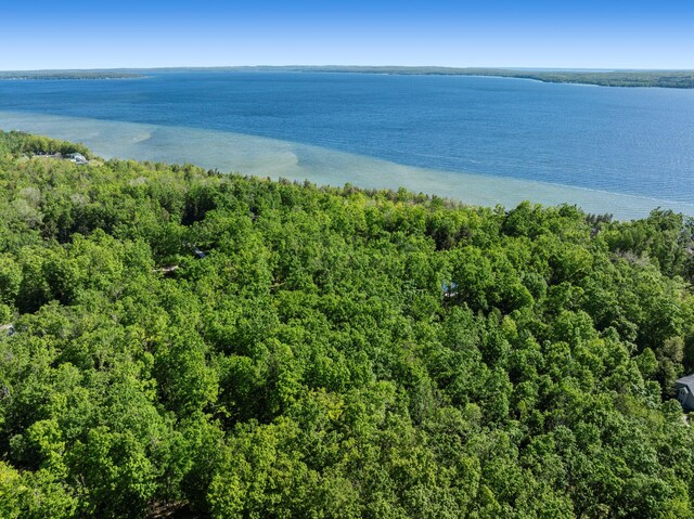 9707 Rogers Rd, Alanson, MI 49706 - water view