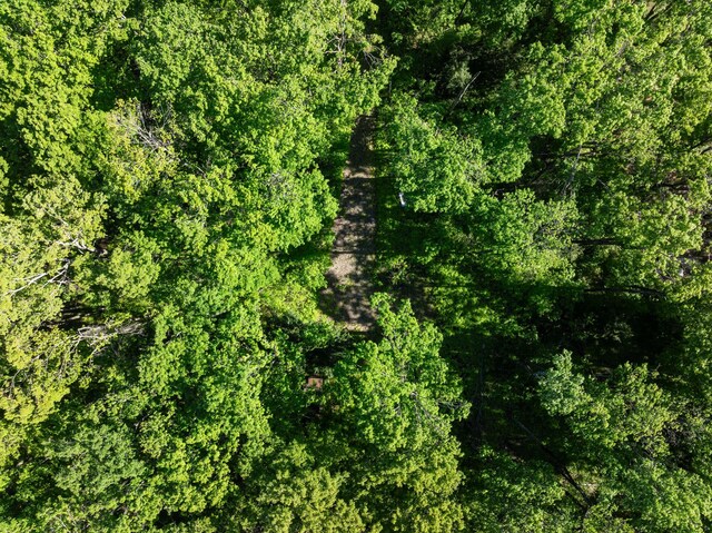 9707 Rogers Rd, Alanson, MI 49706 - view of undeveloped land