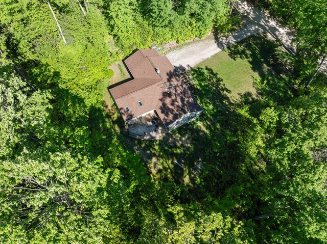 9707 Rogers Rd, Alanson, MI 49706 - view from above of property