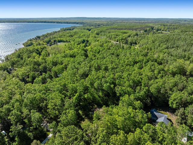 9707 Rogers Rd, Alanson, MI 49706 - drone / aerial view of a heavily wooded area and a large body of water