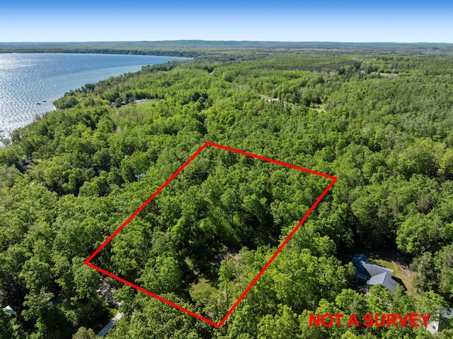 9707 Rogers Rd, Alanson, MI 49706 - view of property location with a forest, property boundaries highlighted, and a nearby body of water