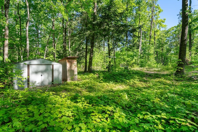 9707 Rogers Rd, Alanson, MI 49706 - view of yard