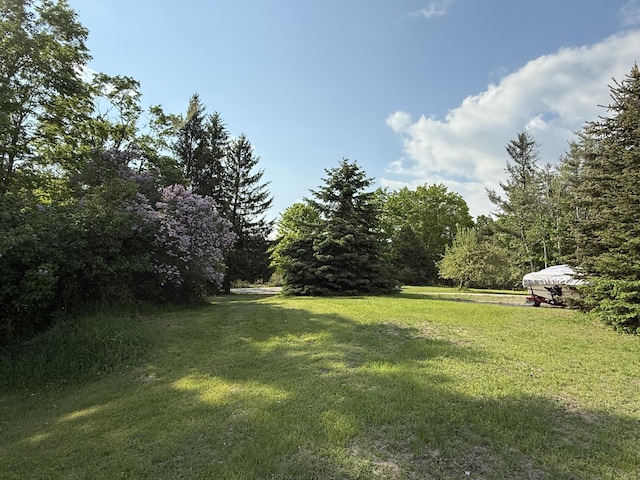 1058 Marlas Way, Cheboygan, MI 49721 - view of grassy yard