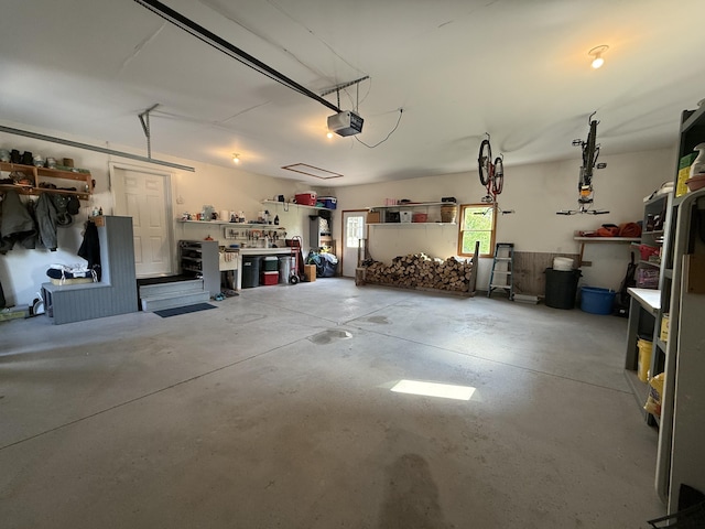 1058 Marlas Way, Cheboygan, MI 49721 - garage featuring a garage door opener and a workshop area
