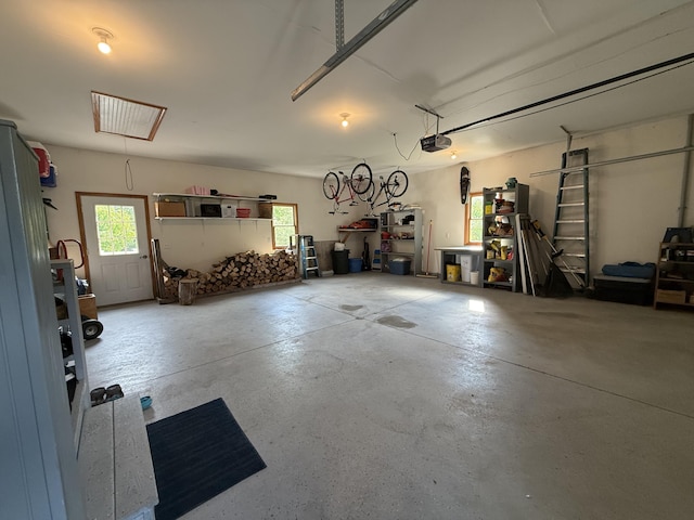 1058 Marlas Way, Cheboygan, MI 49721 - garage with a garage door opener