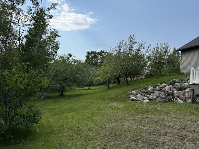 1058 Marlas Way, Cheboygan, MI 49721 - view of green lawn