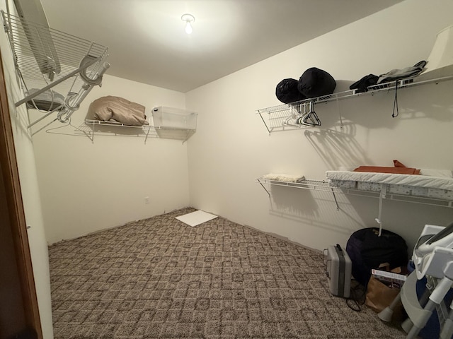 1058 Marlas Way, Cheboygan, MI 49721 - spacious closet with carpet