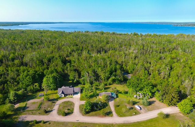 1058 Marlas Way, Cheboygan, MI 49721 - aerial view of a heavily wooded area and a large body of water