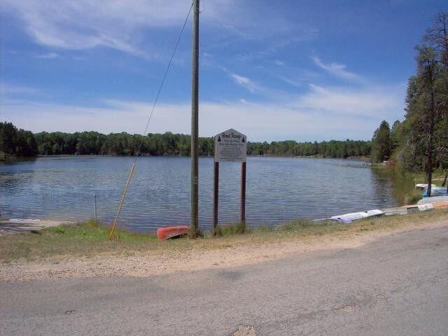 5265 Woodridge Dr, Lewiston, MI 49756 - water view featuring a forest