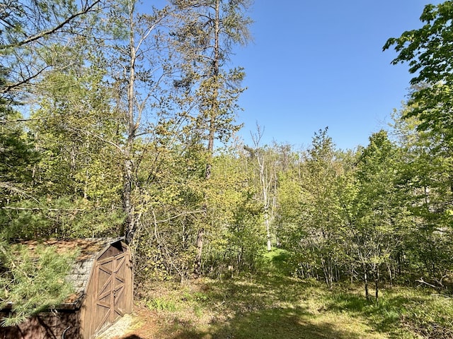 5265 Woodridge Dr, Lewiston, MI 49756 - view of wooded area