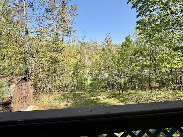 5265 Woodridge Dr, Lewiston, MI 49756 - view of yard