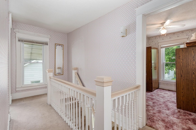 211 S Birney St, Bay City, MI 48708 - hallway with carpet, an upstairs landing, and wallpapered walls