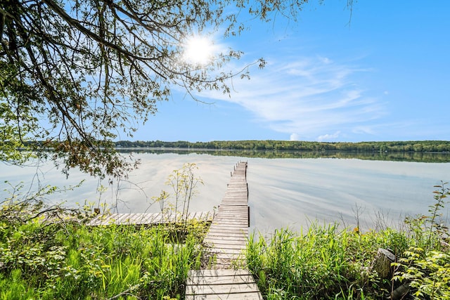 10222 W Munro Lake Dr, Levering, MI 49755