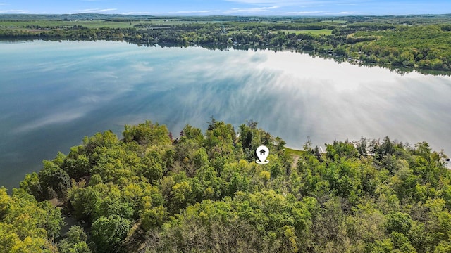 10222 W Munro Lake Dr, Levering, MI 49755