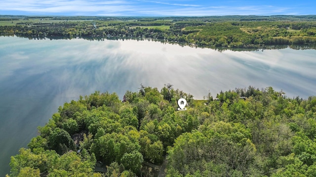 10222 W Munro Lake Dr, Levering, MI 49755