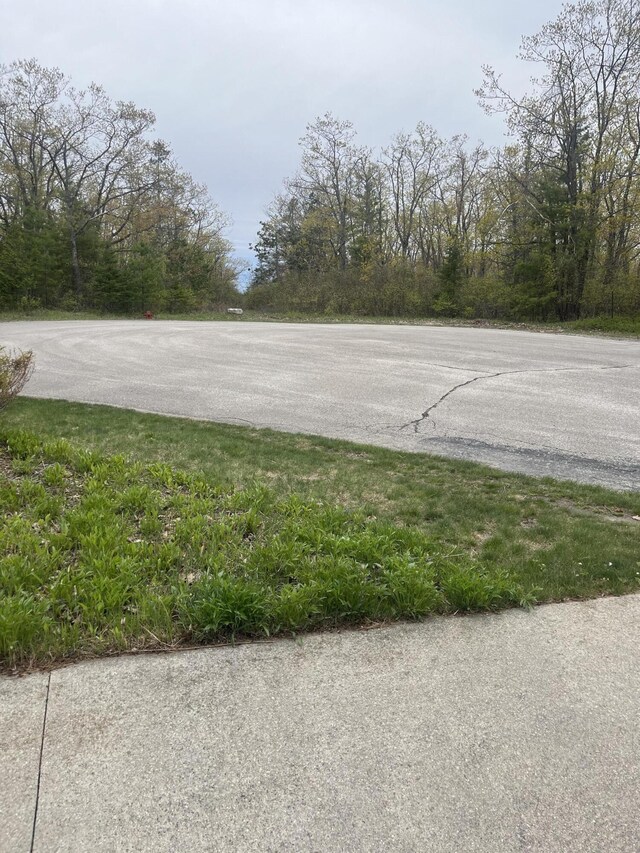 6281 Spruce Ct, Presque Isle, MI 49777 - photo 31