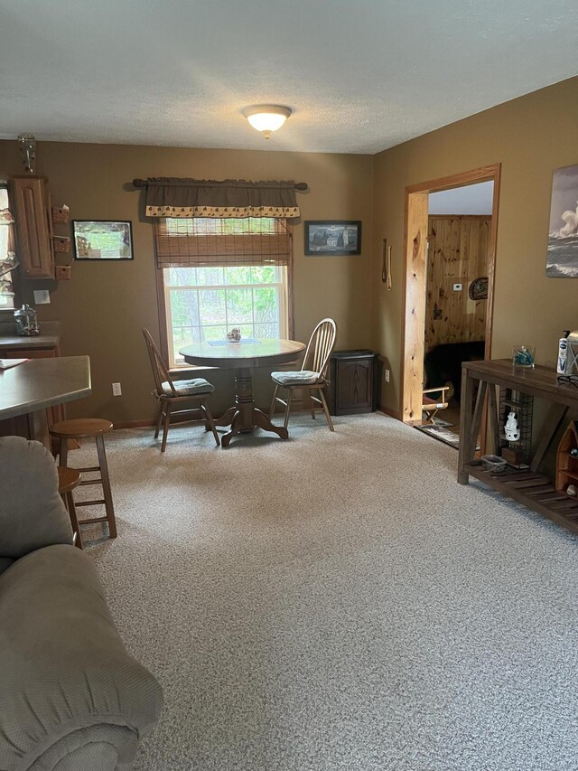 6281 Spruce Ct, Presque Isle, MI 49777 - photo 16