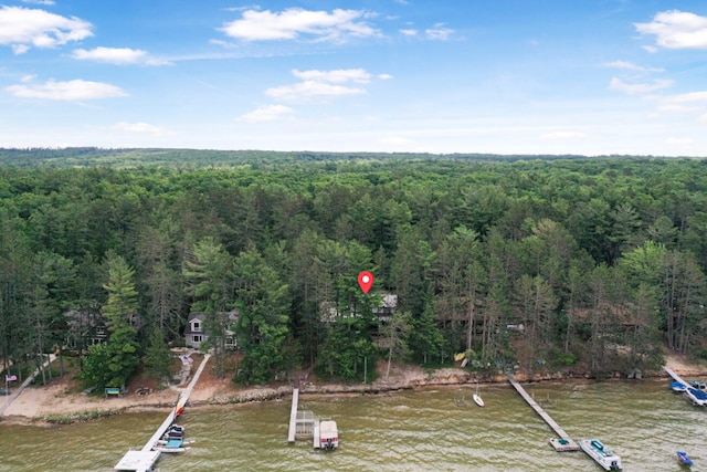 117 Timber Trl, Roscommon, MI 48653 - view of property location featuring a nearby body of water