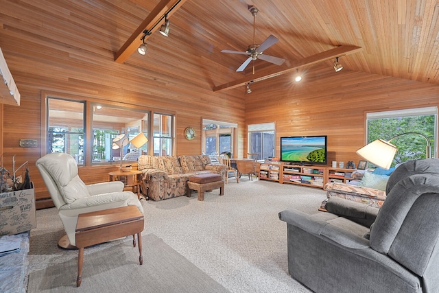 117 Timber Trl, Roscommon, MI 48653 - living area with rail lighting, vaulted ceiling, wood ceiling, wooden walls, and a ceiling fan