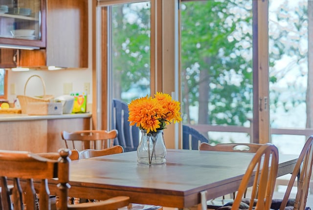 117 Timber Trl, Roscommon, MI 48653 - view of dining area