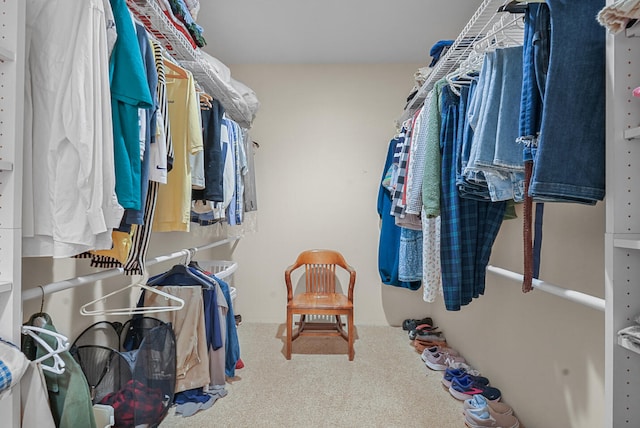 117 Timber Trl, Roscommon, MI 48653 - walk in closet featuring carpet flooring